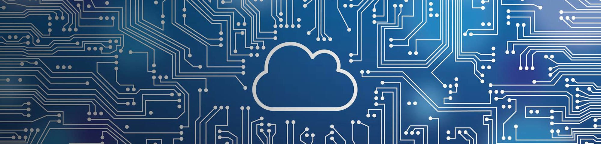 Dubbele IT-capaciteiten